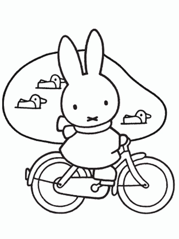 Miffy à bicyclette Coloriage