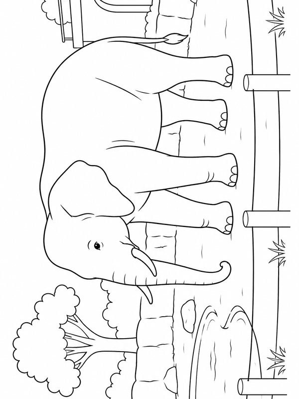 Éléphant dans le zoo Coloriage Éléphant dans le zoo Coloriage