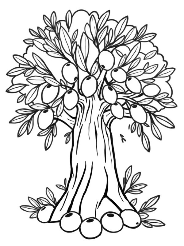 Olivier Coloriage Olivier Coloriage