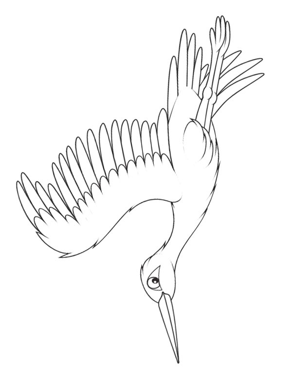 Cigogne blanche Coloriage Cigogne blanche Coloriage