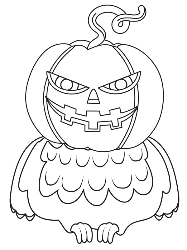 Citrouille hibou Coloriage Citrouille hibou Coloriage