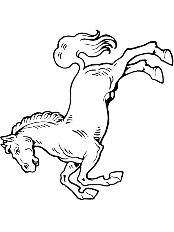 Cheval cabré Coloriage Cheval cabré Coloriage