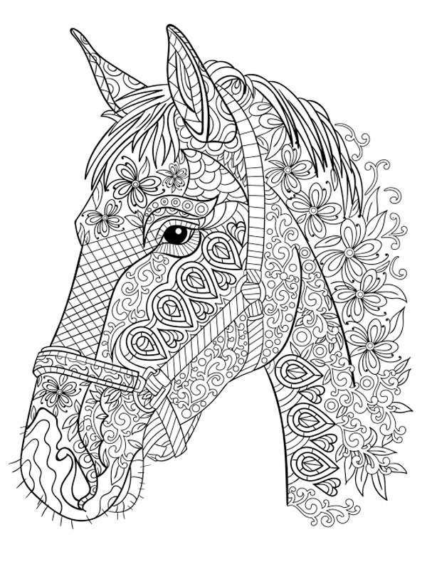 tête cheval adulte Coloriage
