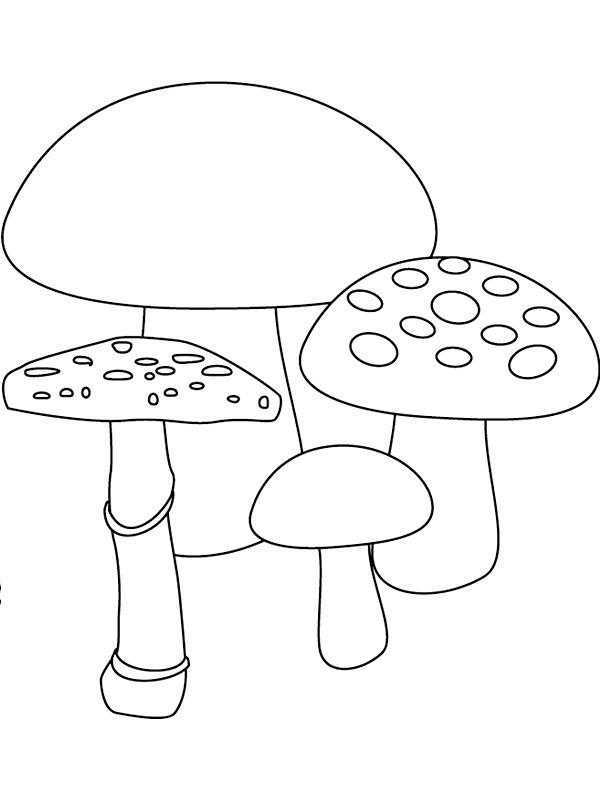 4 champignons Coloriage 4 champignons Coloriage