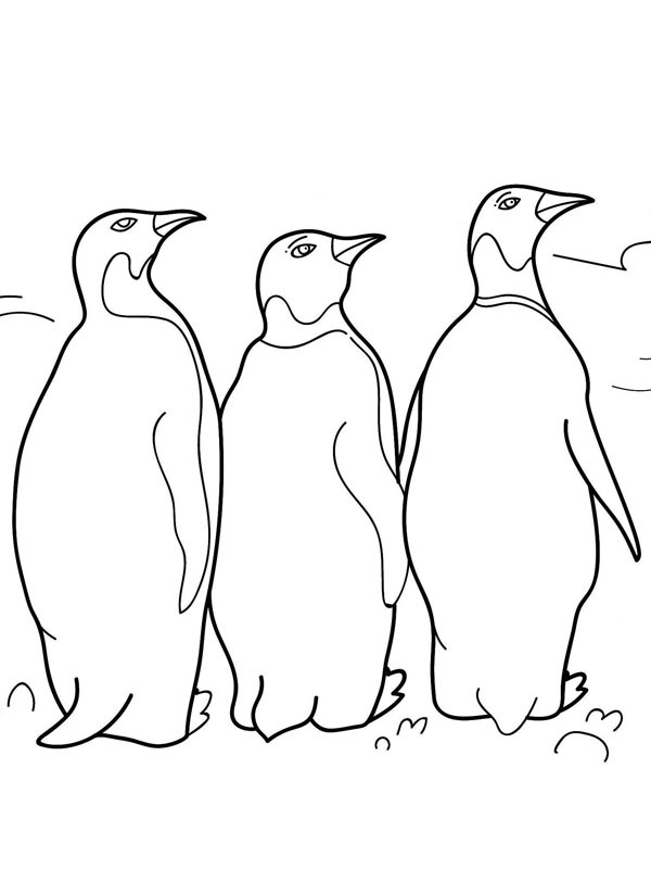 3 pingouins Coloriage