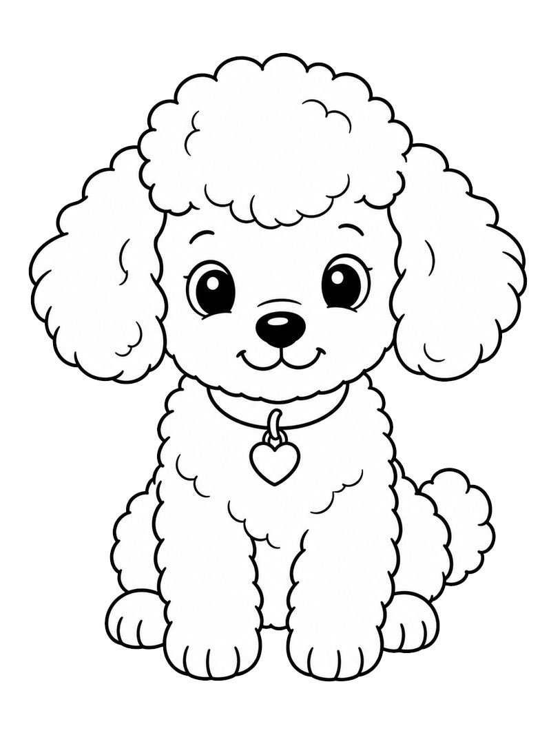 Chiot Caniche Coloriage Chiot Caniche Coloriage