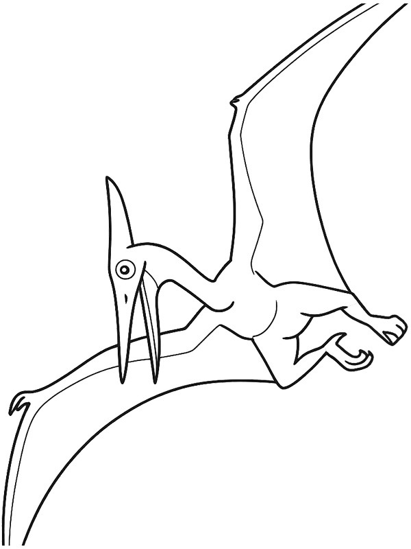 Ptéranodon Coloriage Ptéranodon Coloriage