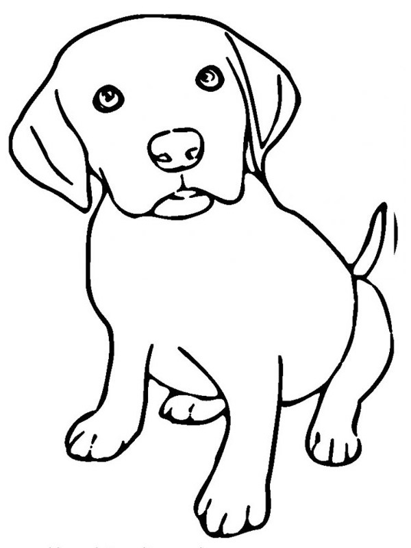 chiot Coloriage