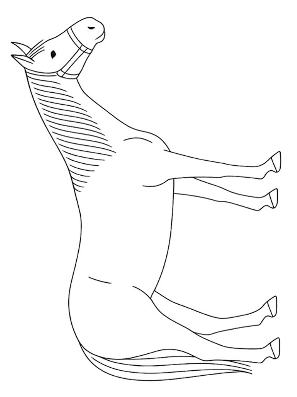 Quarter horse Coloriage Quarter horse Coloriage