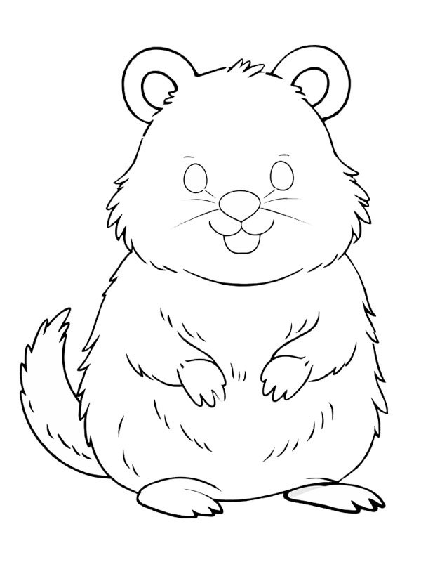 Quokka Coloriage
