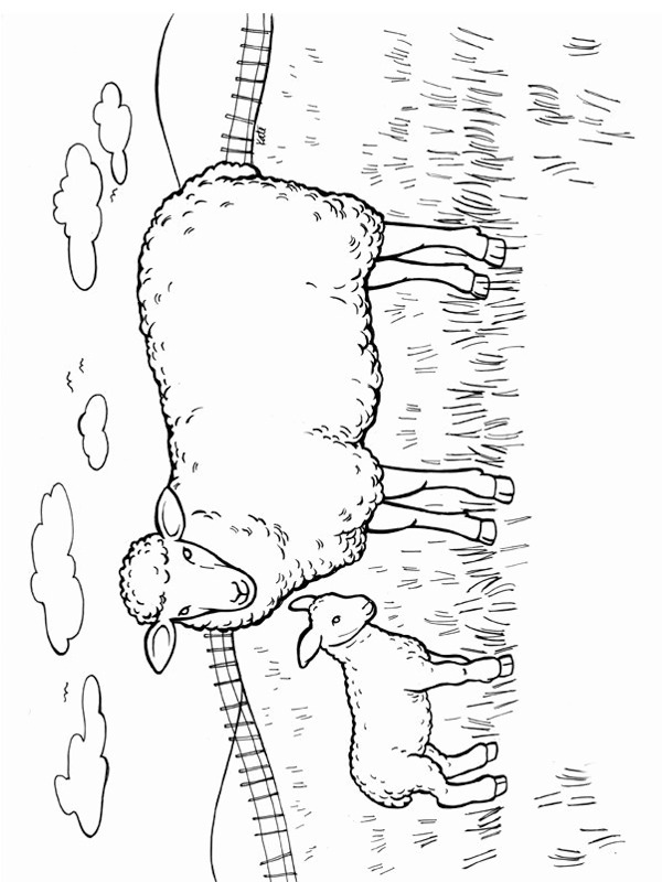 mouton et agneau Coloriage mouton et agneau Coloriage