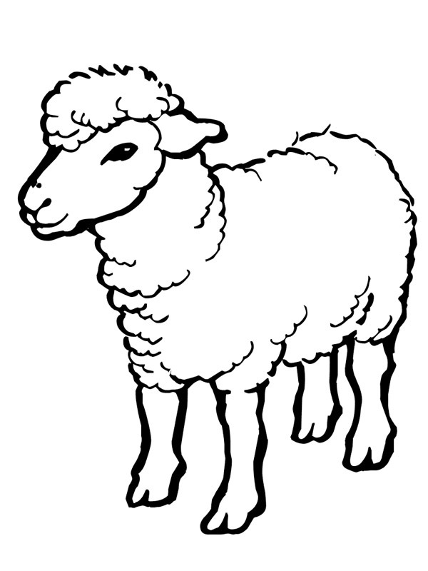 mouton Coloriage
