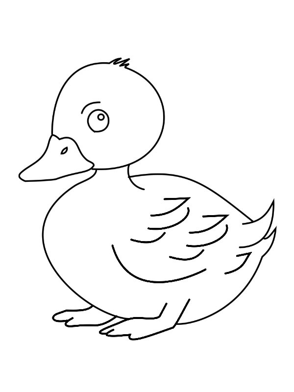 Canard mignon Coloriage Canard mignon Coloriage