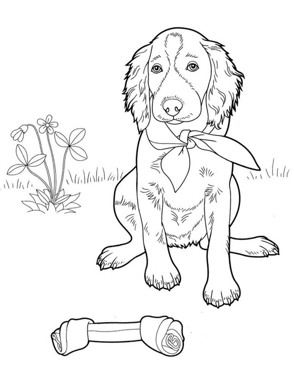 Chien mignon Coloriage Chien mignon Coloriage