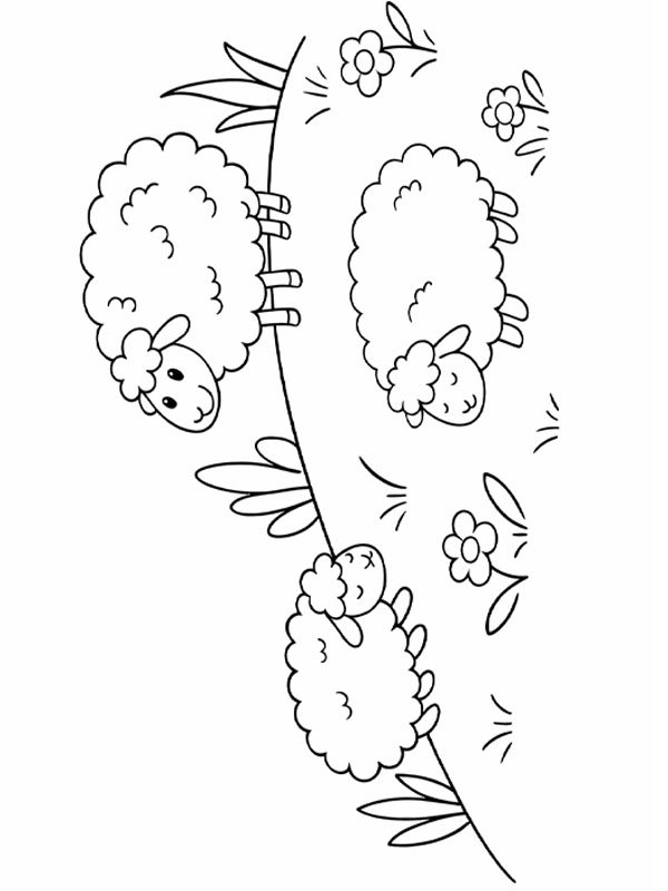 Moutons mignons dans le pré Coloriage Moutons mignons dans le pré Coloriage