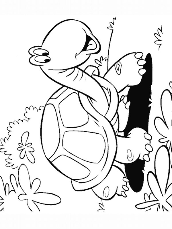 tortue se promène Coloriage tortue se promène Coloriage
