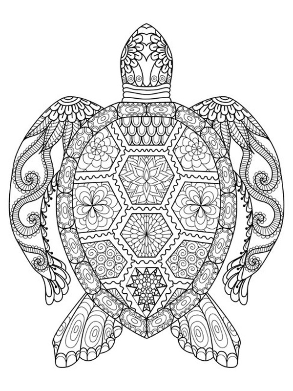 tatouage mandala tortue Coloriage