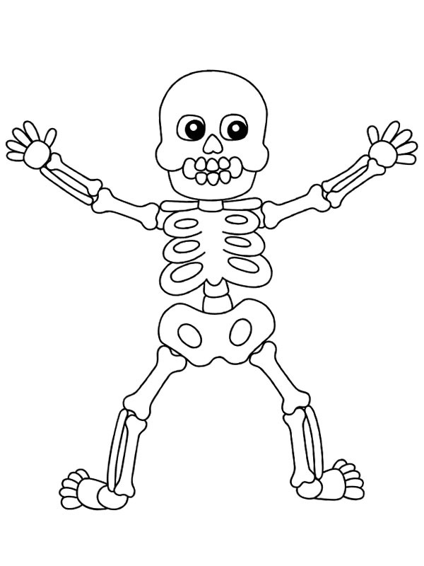 Squelette Halloween (humain) Coloriage Squelette Halloween (humain) Coloriage