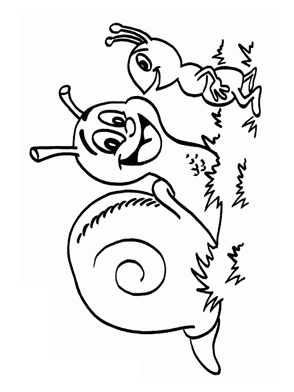 Escargot et fourmi Coloriage