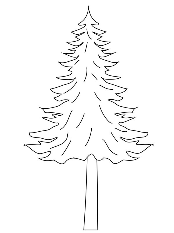 Arbre épicéa Coloriage Arbre épicéa Coloriage