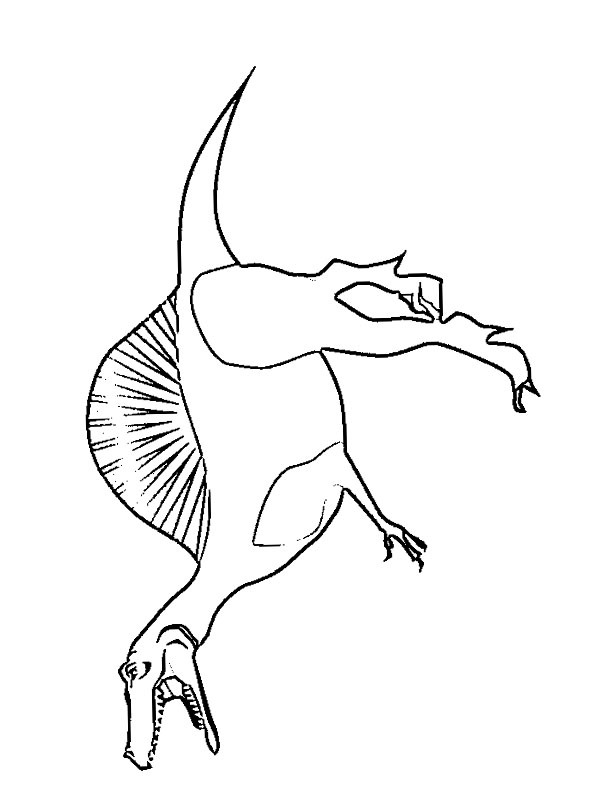 Spinosaurus Coloriage