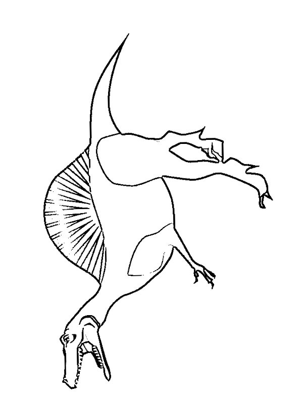 Spinosaurus Coloriage Spinosaurus Coloriage