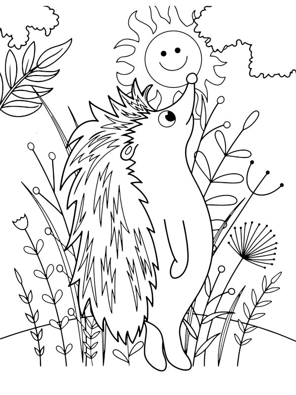 Hérisson debout Coloriage Hérisson debout Coloriage