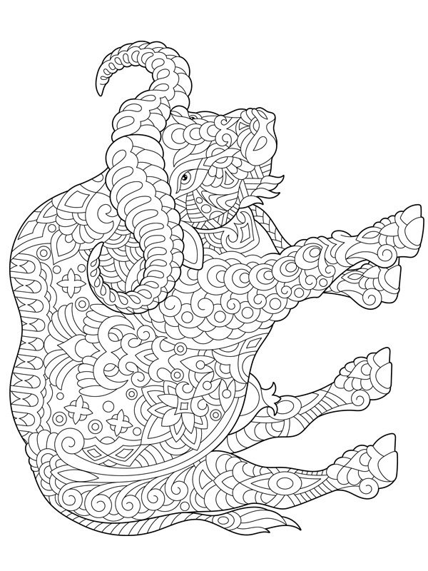 Taureau pour adultes Coloriage Taureau pour adultes Coloriage