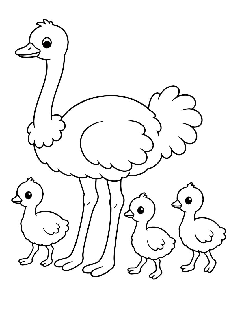 Autruche avec poussins Coloriage Autruche avec poussins Coloriage