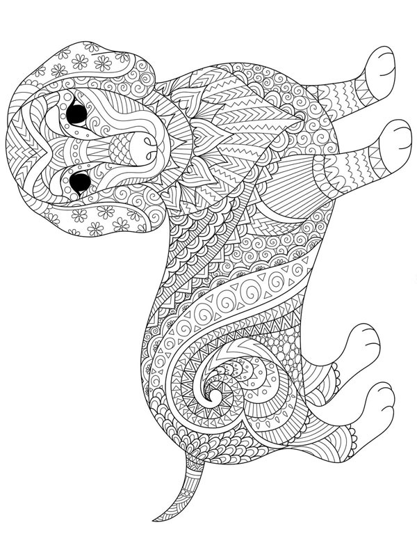 Teckel pour adultes Coloriage Teckel pour adultes Coloriage
