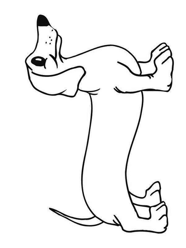 Teckel Coloriage Teckel Coloriage