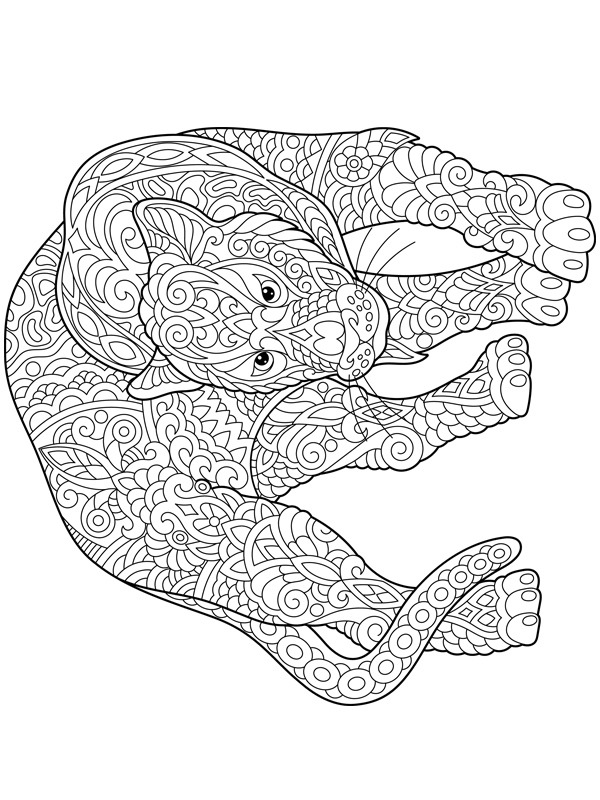 Tigre pour adultes Coloriage Tigre pour adultes Coloriage