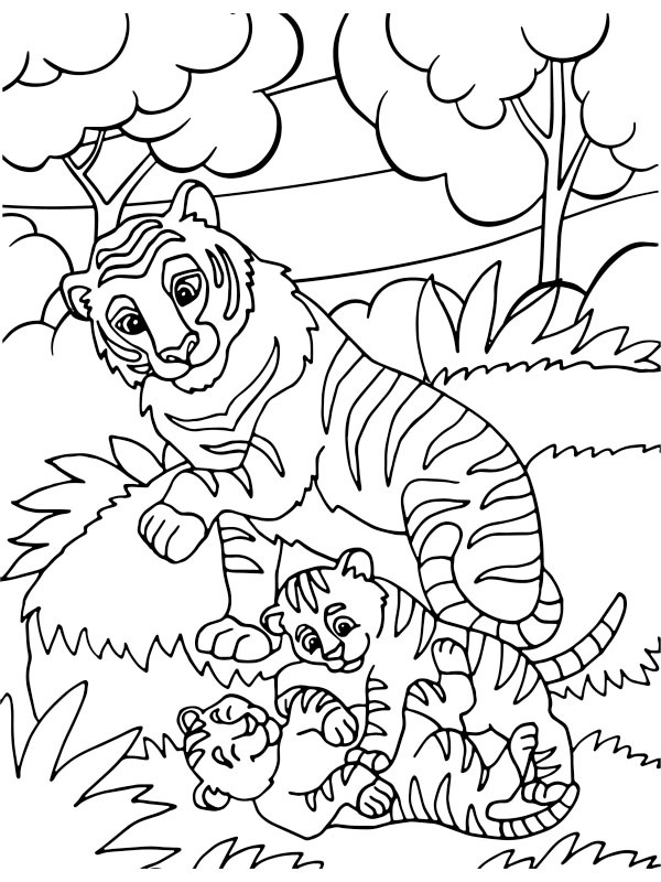 Bébés tigres Coloriage