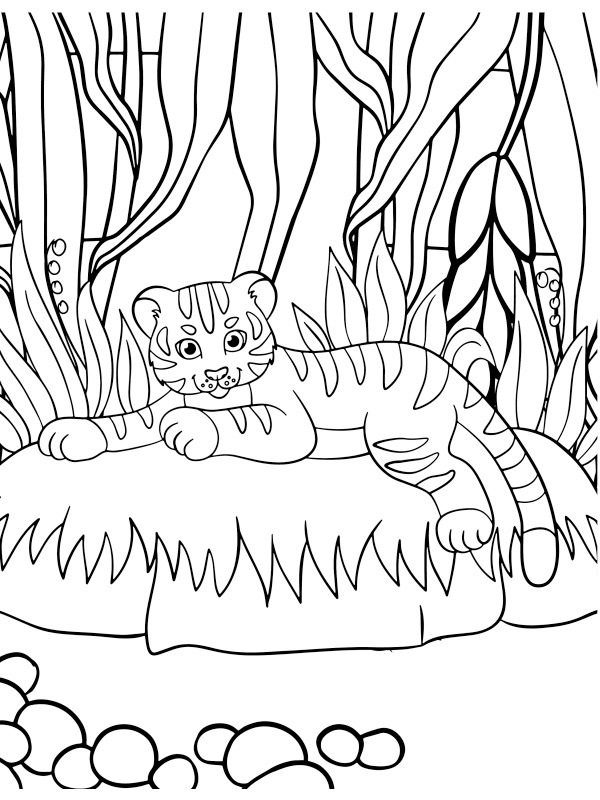 Tigreceau Coloriage Tigreceau Coloriage