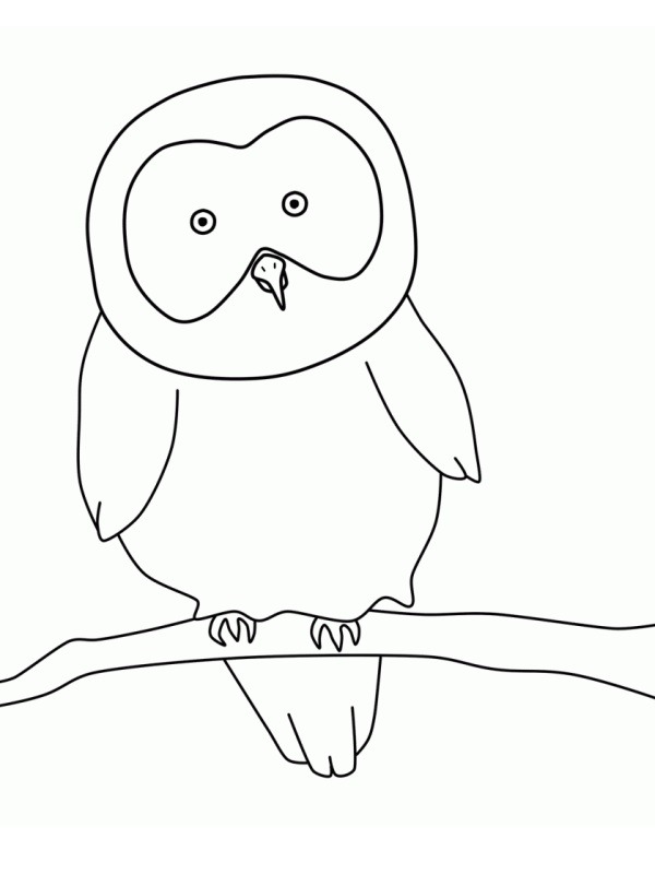 Hibou simple Coloriage Hibou simple Coloriage