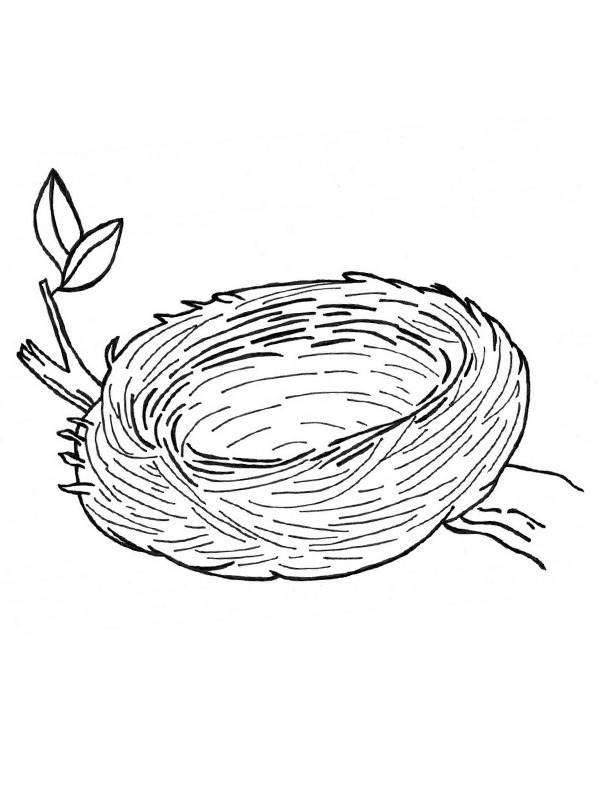 nid d'oiseau Coloriage nid d'oiseau Coloriage