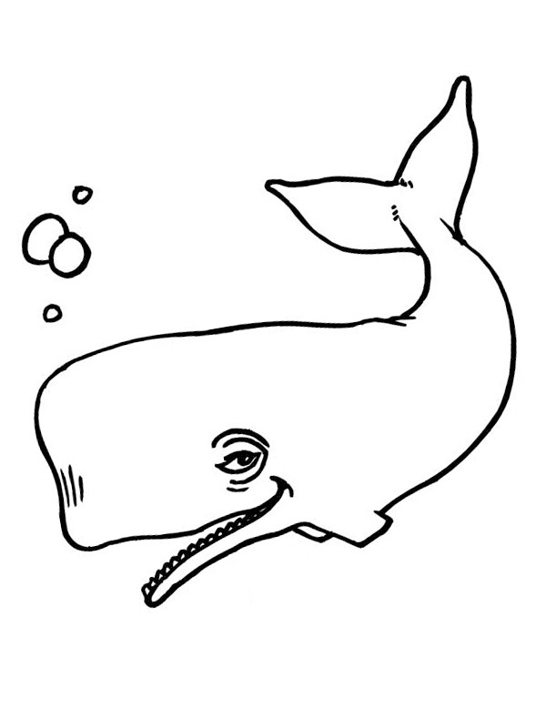 Baleine Coloriage Baleine Coloriage