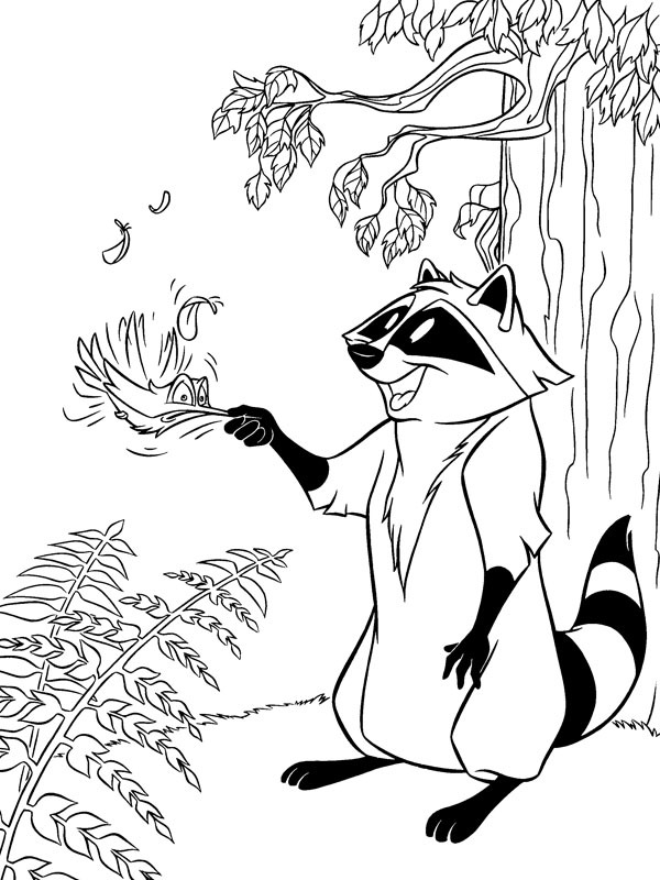 Raton laveur Meeko et colibri Flit Coloriage Raton laveur Meeko et colibri Flit Coloriage