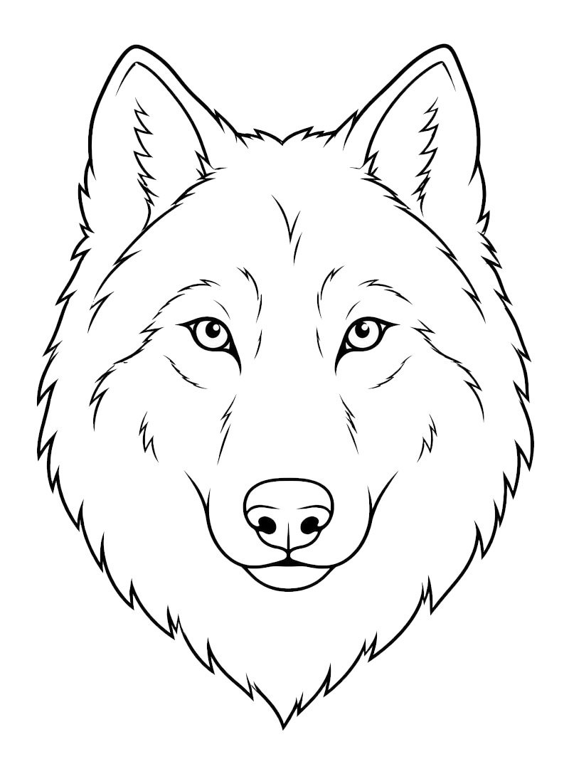 Visage loup Coloriage Visage loup Coloriage