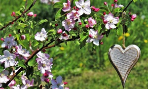 Printemps