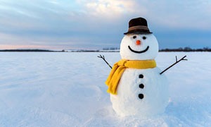 Bonhomme de neige